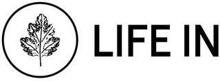 LIFE IN logo