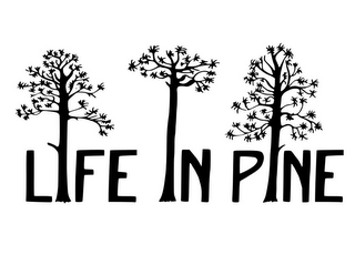 LIFE IN PINE logo