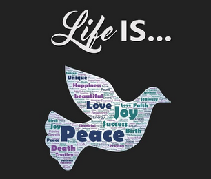 LIFE IS ... SUCCE$$ UNIQUE HAPPINE$$ LOVE PEACE BEAUTIFUL LOVE SPIRITUAL JEALOU$Y FAITH JOY BELIEVING ENERGY BIRTH DEATH TRU$TING THANKFUL logo