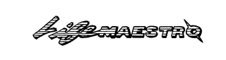 LIFE MAESTRO logo