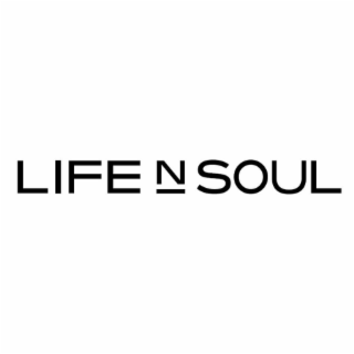 LIFE N SOUL logo
