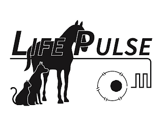 LIFE PULSE logo
