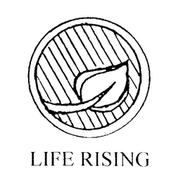 LIFE RISING logo