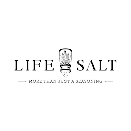 LIFE SALT MORE THAN JUST A SEASONING logo