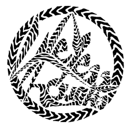 LIFELESS THOUGHTS logo