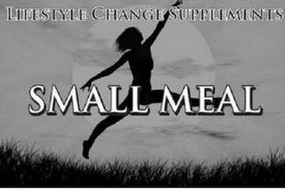 LIFESTYLE CHANGE SUPPLEMENTS SMALL MEAL MEAL REPLACEMENT BEVERAGE MIX VANILLA FLAVOR logo