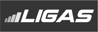 LIGAS logo