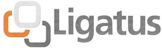 LIGATUS logo