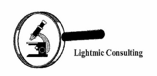 LIGHTMIC CONSULTING logo