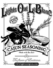 LIGHTS OUT LEBLANC LIGHTSOUTSPICES.COM THE FLAVOR OF LOUISIANA CAJUN SEASONING MADE WITH SEA SALT THE FAVOR OR LOUISIANA WWW.LIGHTSOUTSPICES.COM logo