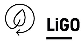 LIGO logo