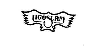 LIGOSLAM logo