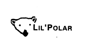 LIL' POLAR logo