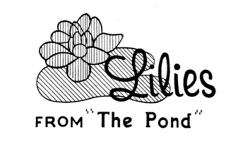 LILIES FROM "THE POND"