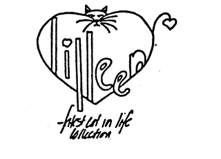 LILLEEN FATTEST CAT IN LIFE COLLECTION logo