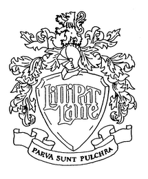 LILLIPUT LANE PARVA SUNT PULCHRA logo