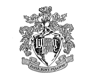 LILLIPUT LANE PARVA SUNT PULCHRA logo