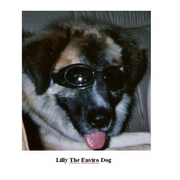 LILLY THE ENVIRO DOG logo
