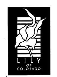 LILY OF COLORADO logo