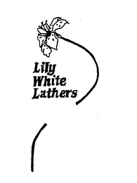 LILY WHITE LATHERS logo