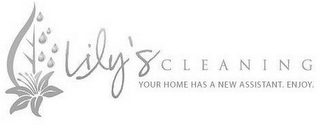 LILY'S CLEANING YOUR HOME HAS A NEW ASSISTANT. ENJOY. logo