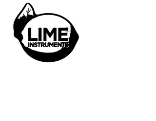 LIME INSTRUMENTS logo