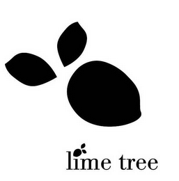 LIME TREE logo