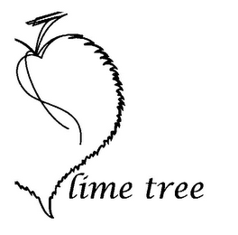 LIME TREE logo