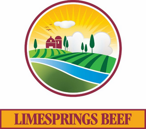 LIMESPRINGS BEEF logo