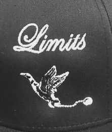 LIMITS logo