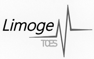 LIMOGE TCES logo