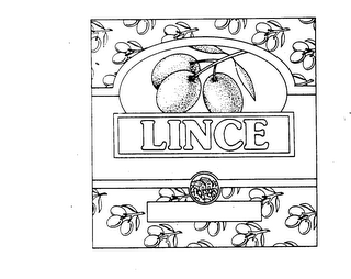 LINCE logo
