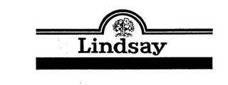 LINDSAY logo