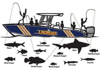 LINEBREAKER TARPON YELLOWTAIL SNAPPER SHARK PERMIT COBIA MANGROVE SNAPPER RED/GAG GROUPER BLACK GROUPER GOLIATH GROUPER MUTTON SNAPPER BARRACUDA KING FISH logo