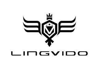 LINGVIDO logo