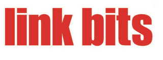 LINK BITS logo