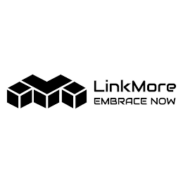 LINKMORE EMBRACE NOW logo