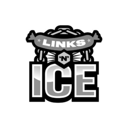 LINKS 'N' ICE logo