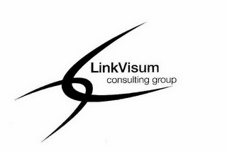 LINKVISUM CONSULTING GROUP logo