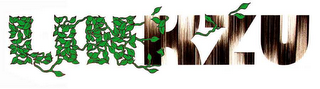 LINKZU logo