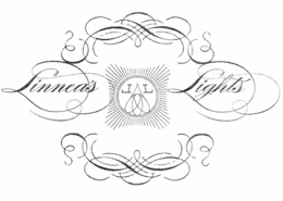 LINNEA'S L L LIGHTS