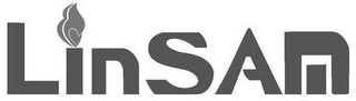 LINSAM logo
