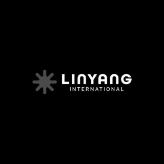 LINYANG INTERNATIONAL logo