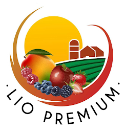 ·LIO PREMIUM· logo