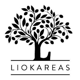 LIOKAREAS logo