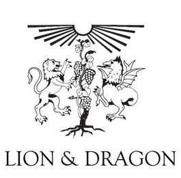 LION & DRAGON logo