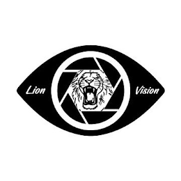 LION VISION logo