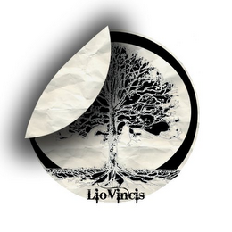 LIOVINCIS logo
