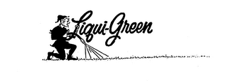 LIQUI-GREEN logo