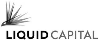 LIQUID CAPITAL logo